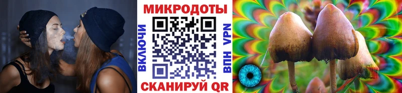Галлюциногенные грибы ЛСД Абаза