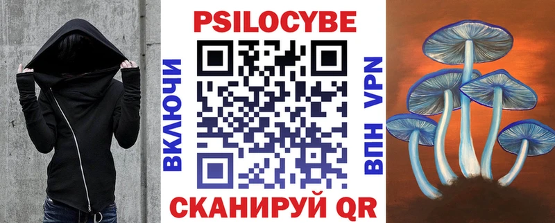 Псилоцибиновые грибы Psilocybe Абаза