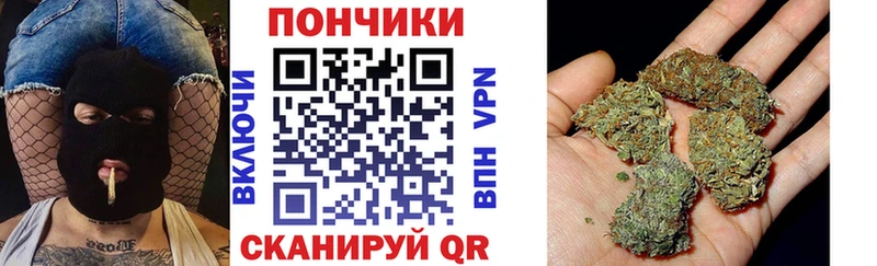 где можно купить наркотик  Абаза  Бошки марихуана планчик 
